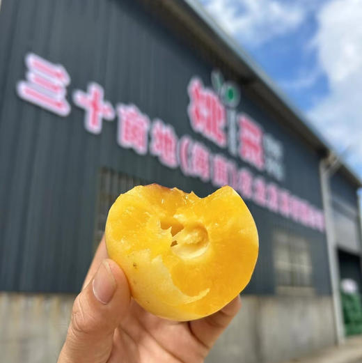 云南七彩人参果 商品图11