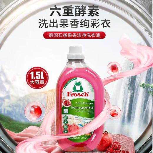 Frosch福纳丝 环保石榴果洁净洗衣液 1.5L 商品图2
