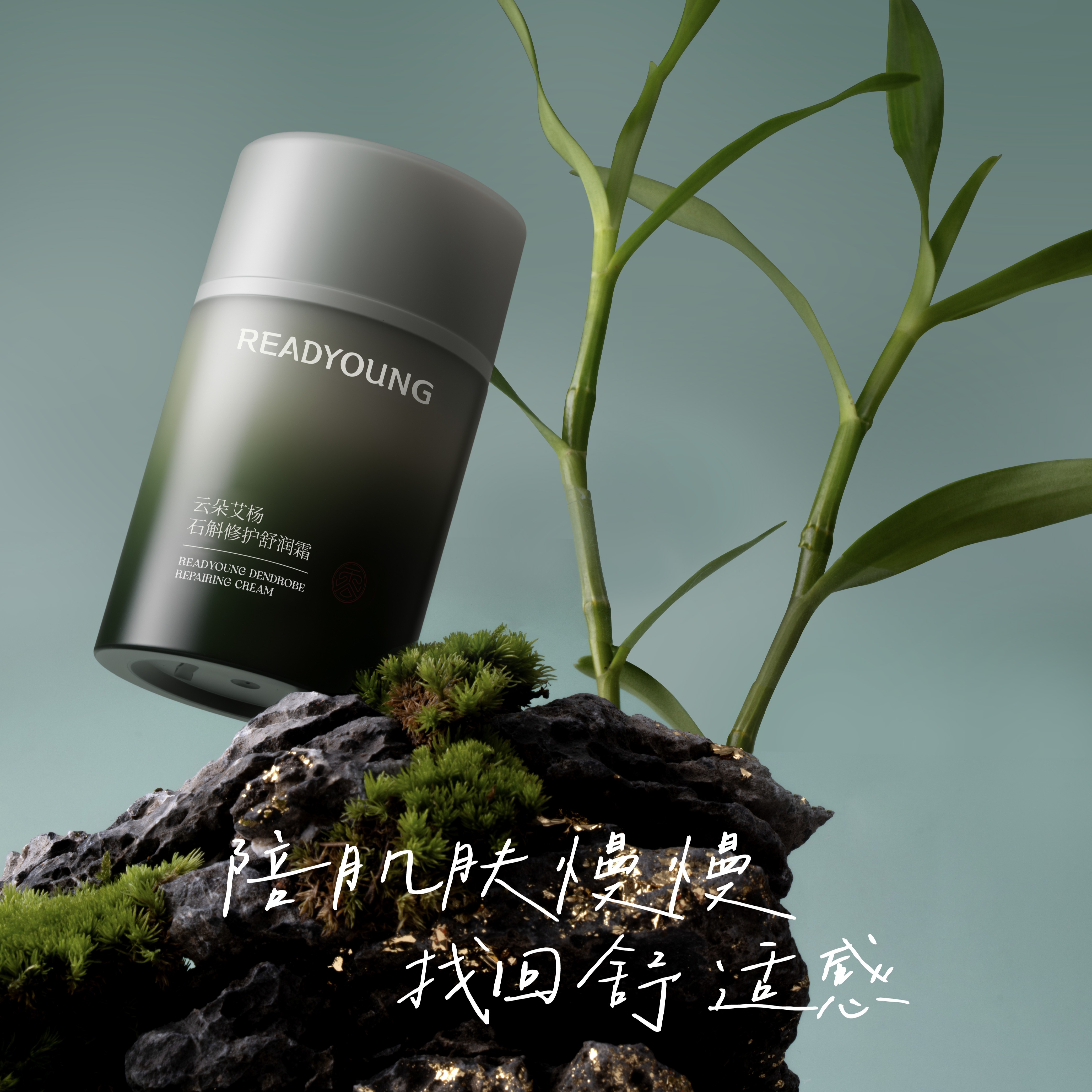 石斛修护舒润霜 50g 草本护肤