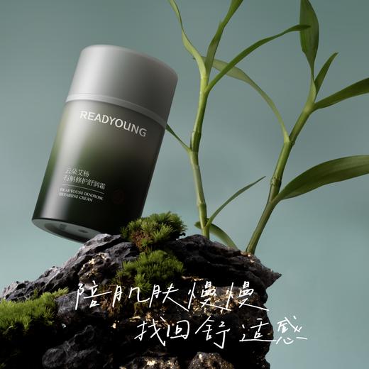 石斛修护舒润霜 50g 草本护肤 商品图0