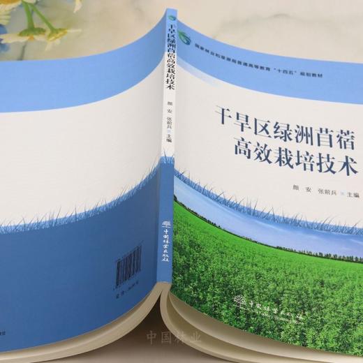 E干旱区绿洲苜蓿高效栽培技术 &3231 商品图2