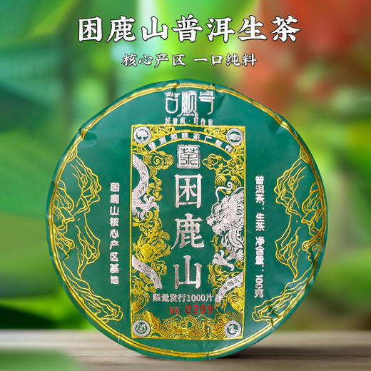 2024年明前春茶《困鹿山》核心产区大树茶醇料普洱生茶饼100克 商品图0
