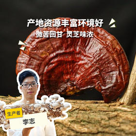 生态鲜赤灵芝 | 绿家自产 * Ecological fresh red Ganoderma lucidum | Self-production
