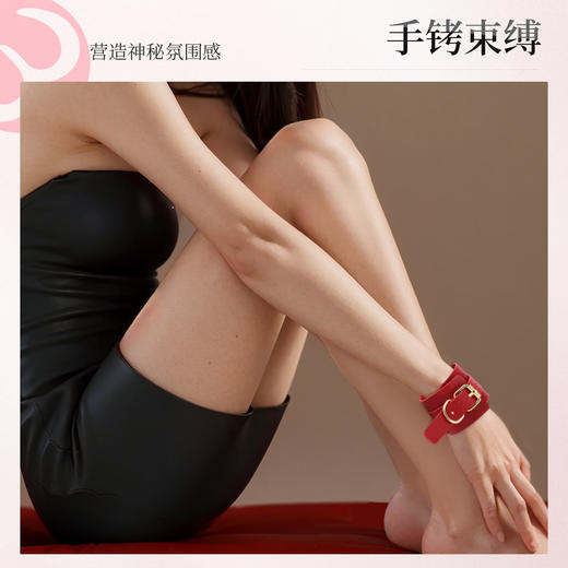 【SM】赠品口球搭配系列 商品图12