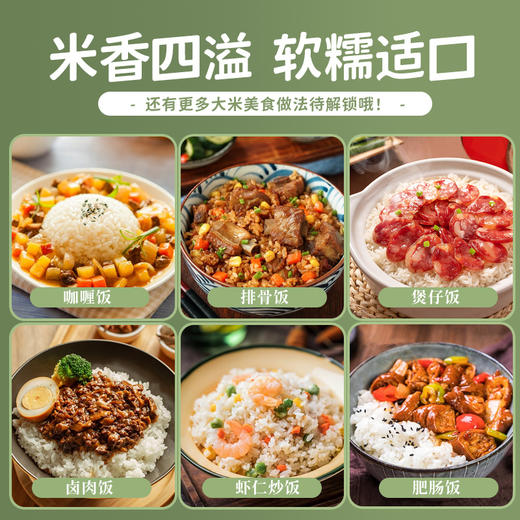 疆粮·80年代稻香贡米 新疆大米 5kg  煮出 80 年代老味道 香软且腴 商品图3