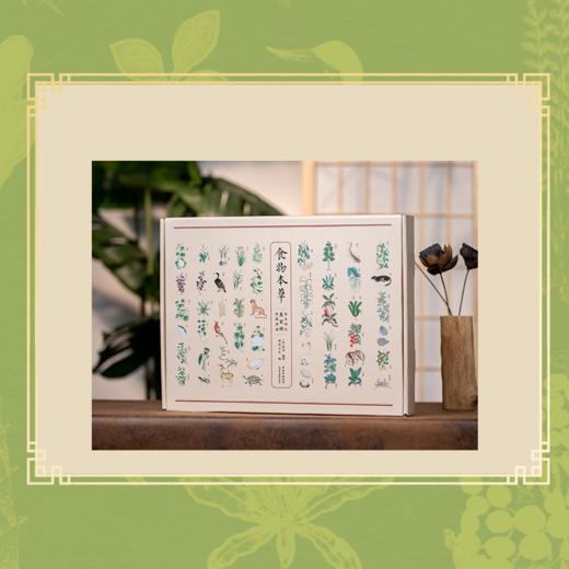 《食物本草》饮膳图谱 药食同源的直观解读 商品图3