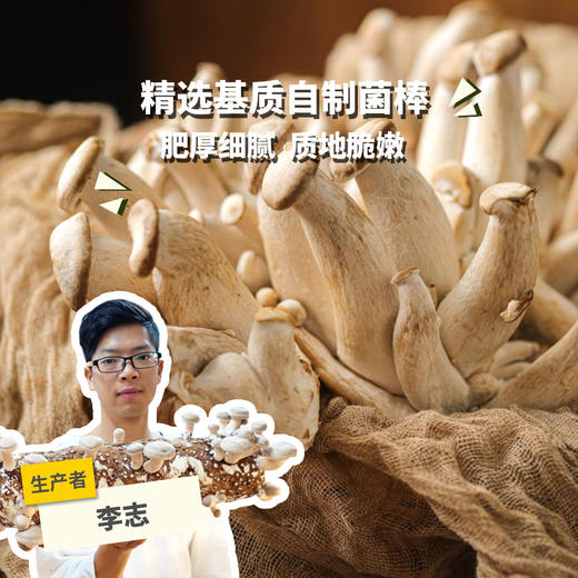 生态鹿茸菇 | 绿家自产 * Ecological mushroom | In-House Production 商品图0