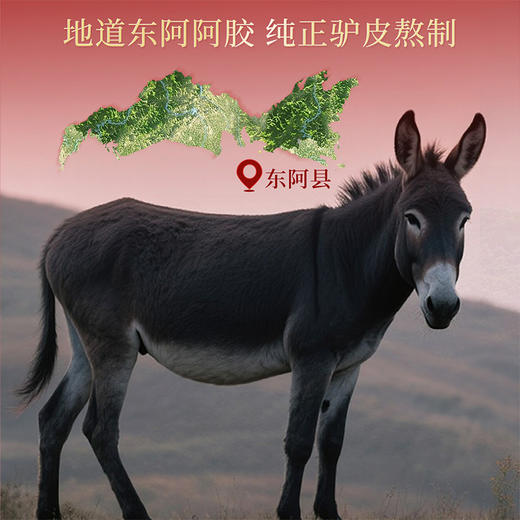 雷允上红参玫瑰阿胶膏140g/盒 商品图2