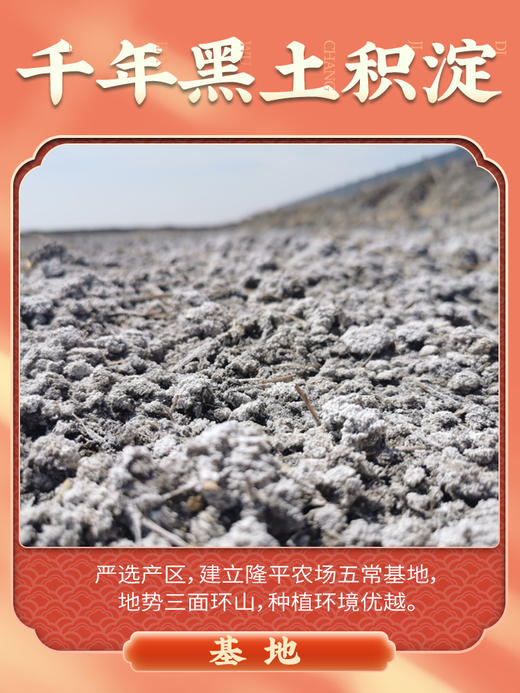 【买一送一 共发两袋】袁谷农场五常福稻5kg 商品图4