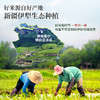 疆粮·80年代稻香贡米 新疆大米 5kg  煮出 80 年代老味道 香软且腴 商品缩略图1