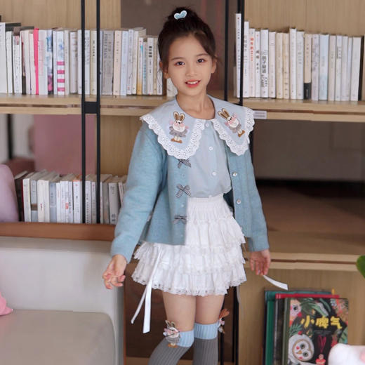 白韵蕾丝裙 商品图1