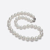 【分销】戴拉珍珠S925银淡水10-12mm有核珍珠项链（吉尔德四星），送礼推荐 商品缩略图2