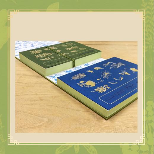 《食物本草》饮膳图谱 药食同源的直观解读 商品图1