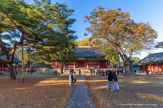金秋韩国【免签】红叶8 天摄影团·首尔、春川、洪川、江原道、雪岳山、京畿道、全罗南道、庆尚南道 商品图5