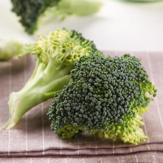 西兰花 约500g/份 商品图4