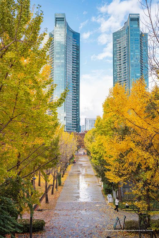 金秋韩国【免签】红叶8 天摄影团·首尔、春川、洪川、江原道、雪岳山、京畿道、全罗南道、庆尚南道 商品图3