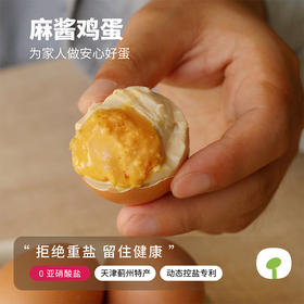 乡野人家【五香麻酱鸡蛋】熟食鸡蛋 正宗天津蓟县特产 零食卤蛋健康开袋即食中秋礼盒 咸鸭蛋烤鸭蛋咸蛋黄