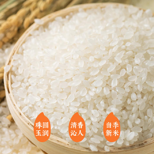 袁谷农场辽河玉珠香米5kg东北粳米蟹稻大米10斤一年一季当季新米 商品图1