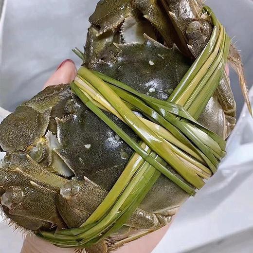 苏霸王中秋礼品高端蟹卡 商品图7