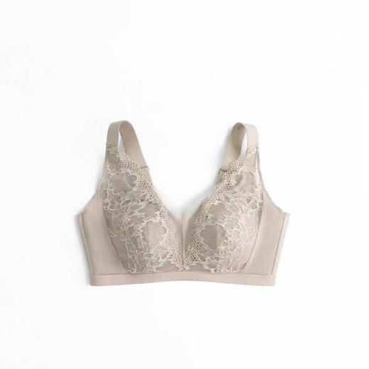 【洛诗琳老顾客福利定制款】真丝无痕调整型收副乳文胸 桑蚕丝蕾丝花边聚拢内衣 贴身衣物不支持退换63108 商品图2