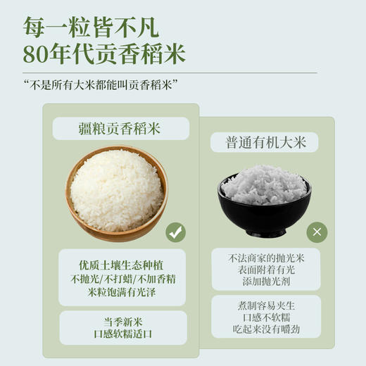 疆粮·80年代稻香贡米 新疆大米 5kg  煮出 80 年代老味道 香软且腴 商品图2