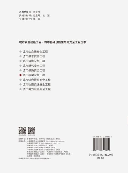 城市桥梁安全工程 商品图1