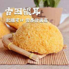 古田银耳干货