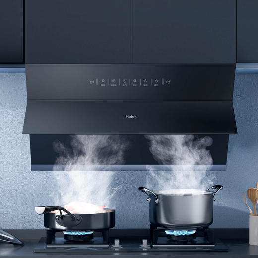 海尔（Haier）烟机 CXW-219-EC906S 商品图1
