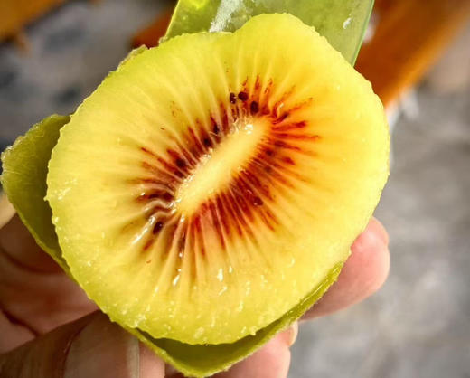 红心/黄心12枚猕猴桃3斤礼盒装（原产地发货） 商品图0