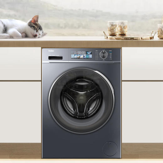 海尔（Haier）洗衣机 EG100HBD88PLUS 商品图0
