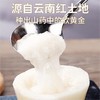 云南深山灵芝山药 | 高山之巅的仙灵之味 肉质细腻粉糯香甜 营养丰富 现挖现发 商品缩略图5