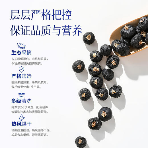 雷允上黑枸杞140g（35g*4瓶）/盒 商品图7