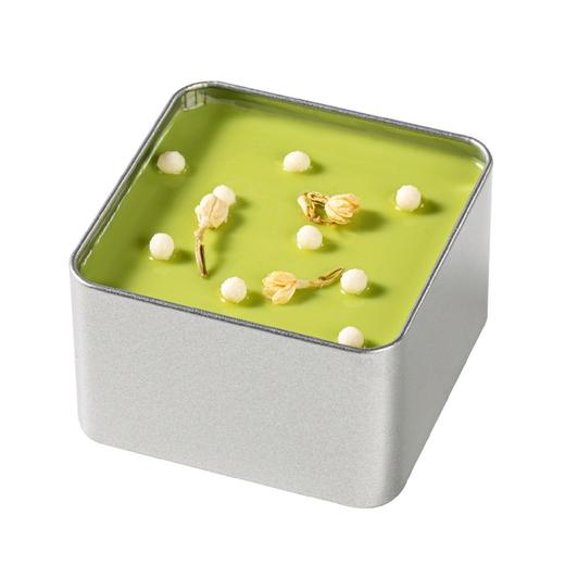 【甜品】伯牙茉莉提拉米苏|冷藏保存 商品图0