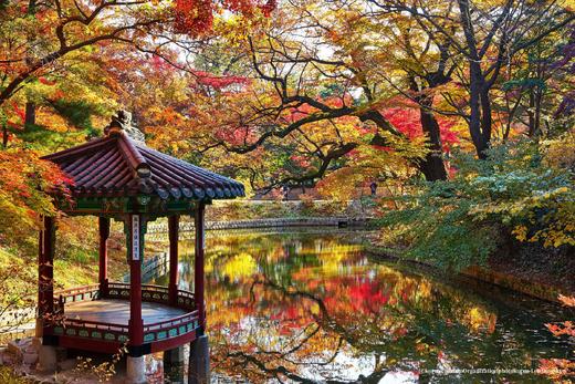 金秋韩国【免签】红叶8 天摄影团·首尔、春川、洪川、江原道、雪岳山、京畿道、全罗南道、庆尚南道 商品图1