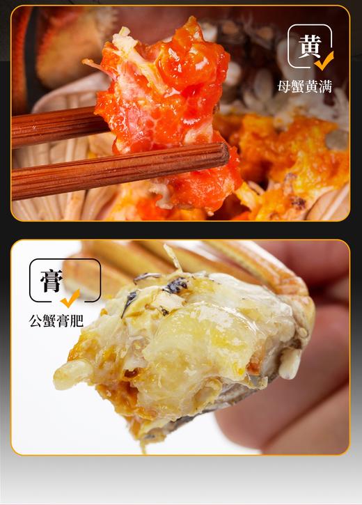 苏霸王中秋礼品高端蟹卡 商品图5