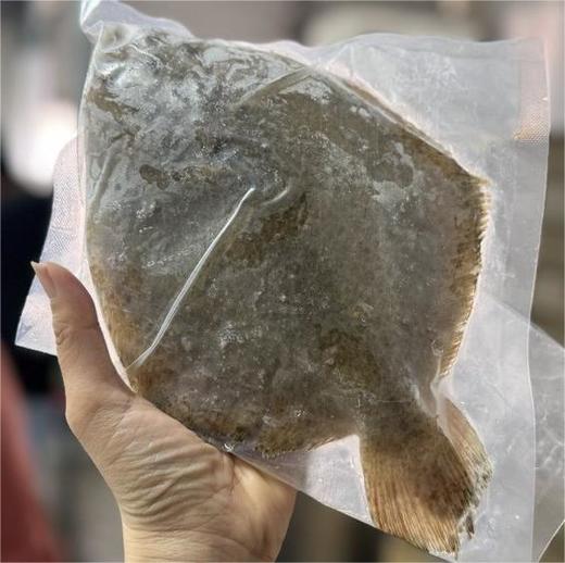 海捕多宝鱼（东山岛） 商品图4