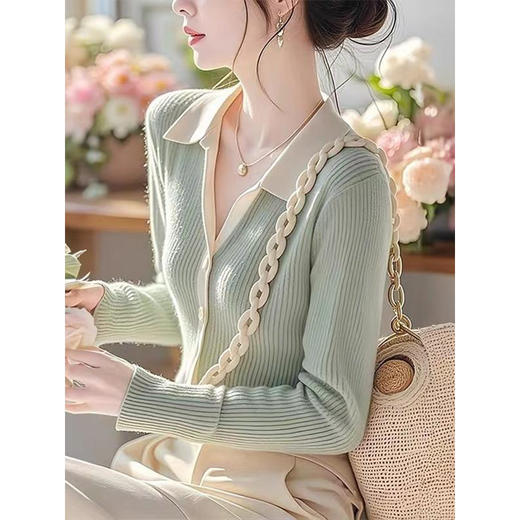 春秋独特别致绿色翻领针织打底衫女设计感小众超好看修身长袖上衣 商品图2