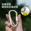 伯希和户外帐篷天幕D型扣铝合金挂钩钥匙扣轻量便携书包车载挂扣 商品缩略图1