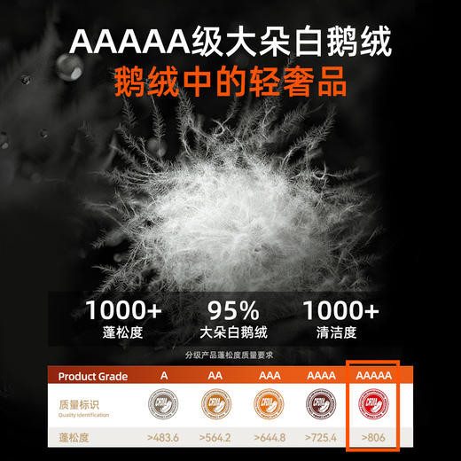 【P系列】伯希和户外1000蓬加厚鹅绒羽绒服男登山滑雪服/极寒MAX 商品图2