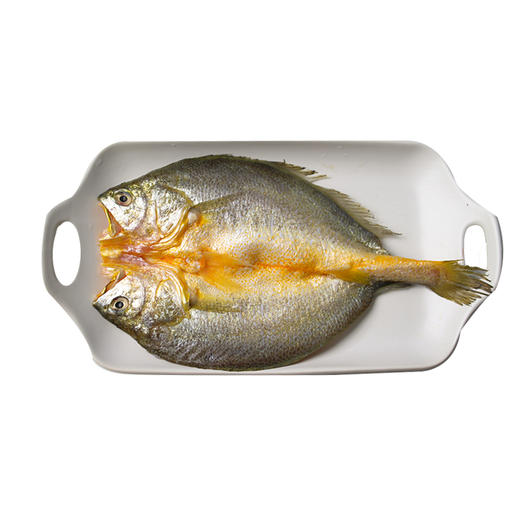 福建宁德黄鱼鲞#肉质细腻刺少鲜美无土腥味，捕捞到去内脏古法盐渍包装保证在8h内，速冻锁鲜鲜味满分~ 商品图3