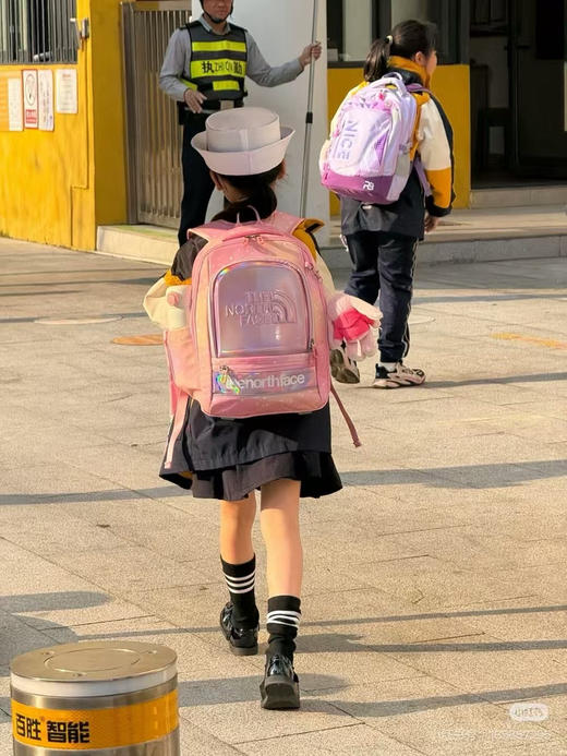 韩国订单 正品 The North Face 四件套双肩背包，学生书包,补习包，救生口哨 公仔挂件
粉色，紫色 商品图12