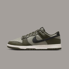 NIKE耐克 DUNK LOW RETRO男子运动休闲鞋 HF5441-300