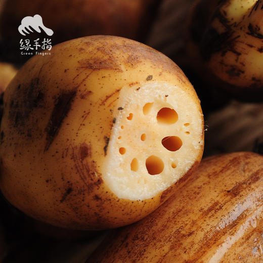 生态粉莲藕（湖北）| 合作生产* Eco-lotus root | Coproduction 商品图4