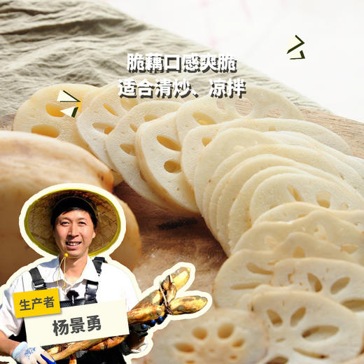 生态粉莲藕（湖北）| 合作生产* Eco-lotus root | Coproduction 商品图0