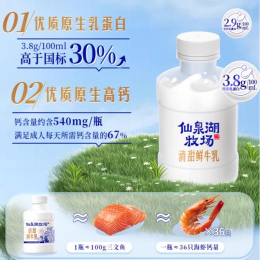 风行仙泉湖牧场 清甜鲜牛乳450ml /瓶 商品图4