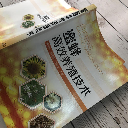 蜜蜂高效养殖技术 商品图3