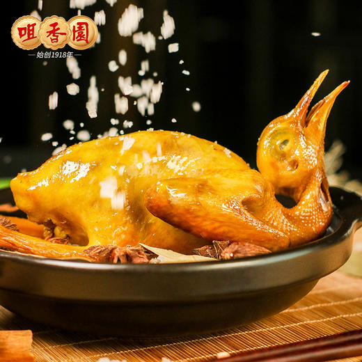 咀香园正宗石岐鸽粤式盐焗咸香经典红烧脆皮地道广式风味加热即食便捷 商品图4