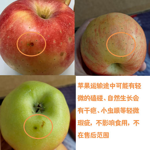 有机早熟苹果 | 合作生产 *Organic precocious apple | Partner Production 商品图2