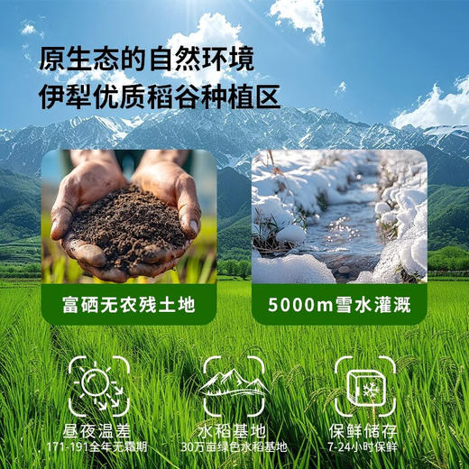 疆粮·富硒稻花香 新疆大米 5kg  蒸饭晶莹饱满 焖饭油润不粘 家常味更浓 商品图4