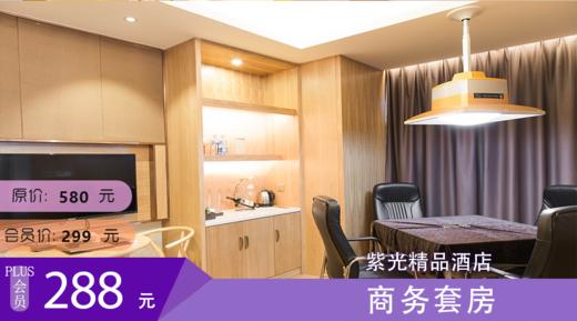 商务套房 紫光精品酒店 商品图0